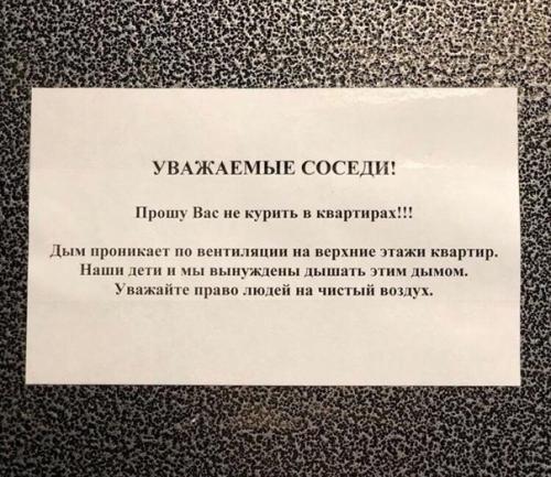 А что ещё нельзя?