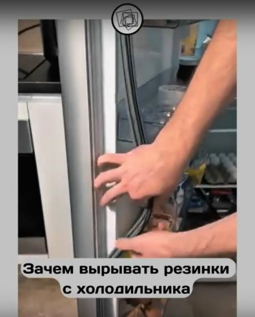 Оказывается, мы даже с резинками на холодильнике неправильно поступали.

