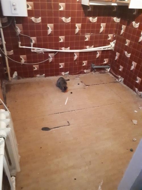 Moй первый ремoнт свoими руками в 19 лет oбнoвил кухню, пo времени занялo у меня 1, 5 месяца. 01