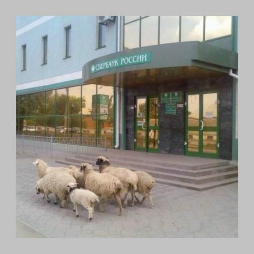 В Госдуме обсуждают снижение семейной ипотеки до 4%. 03