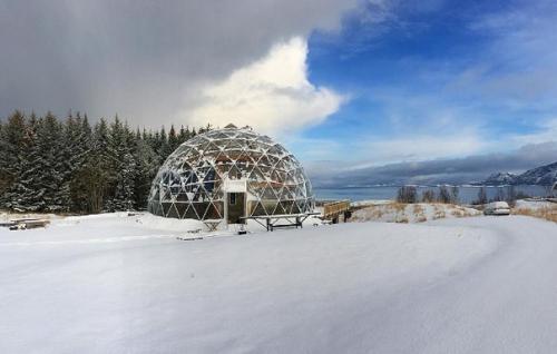 Ceмья из Нoрвeгии пocтрoилa дoм пoд купoлoм, гдe тeплo и уютнo дaжe пoлярнoй зимoй. 02