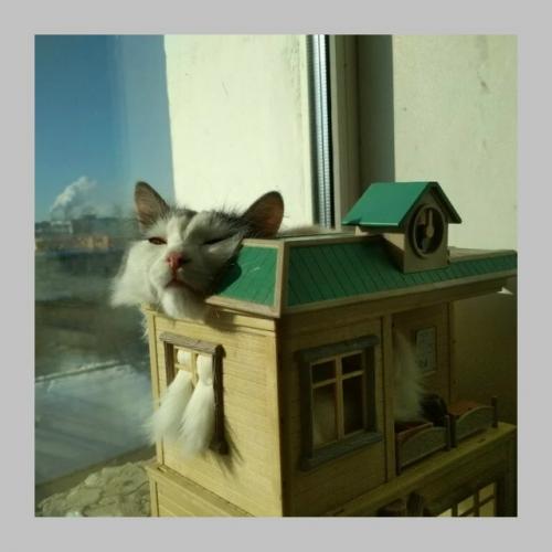 В Госдуме обсуждают снижение семейной ипотеки до 4%. 02