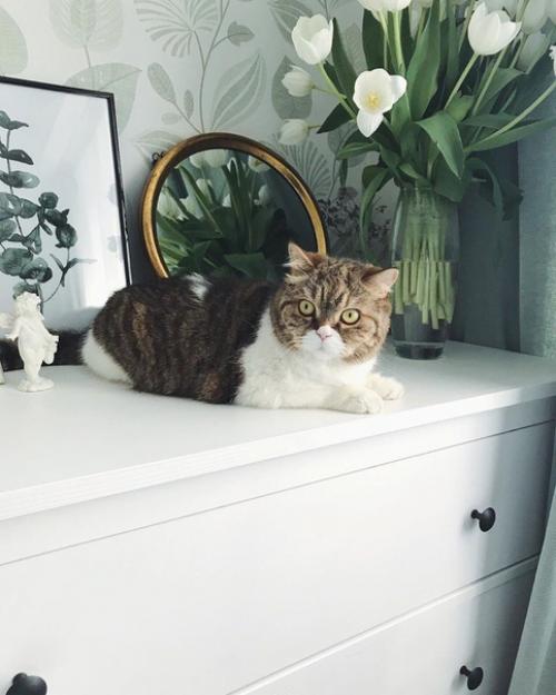 Уютная квартира в стиле Икеа. 05