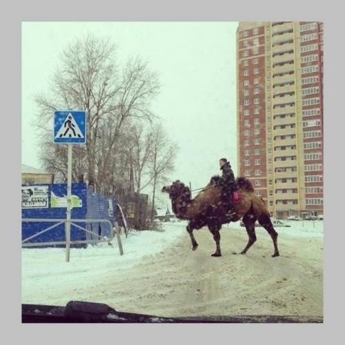 Вот сейчас и мы проверим, как хорошо вы знаете города России! 04