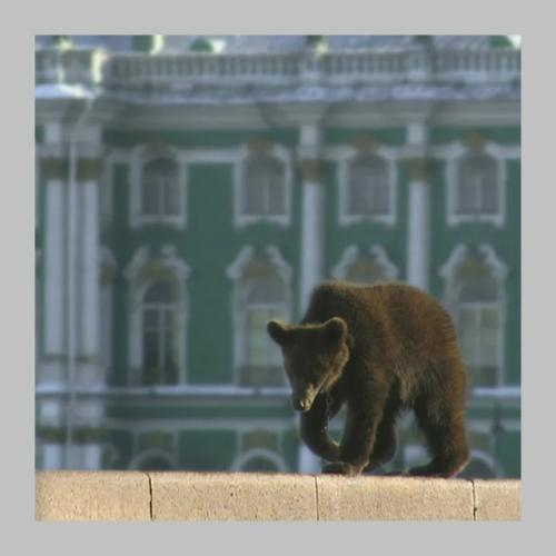 Вот сейчас и мы проверим, как хорошо вы знаете города России! 03