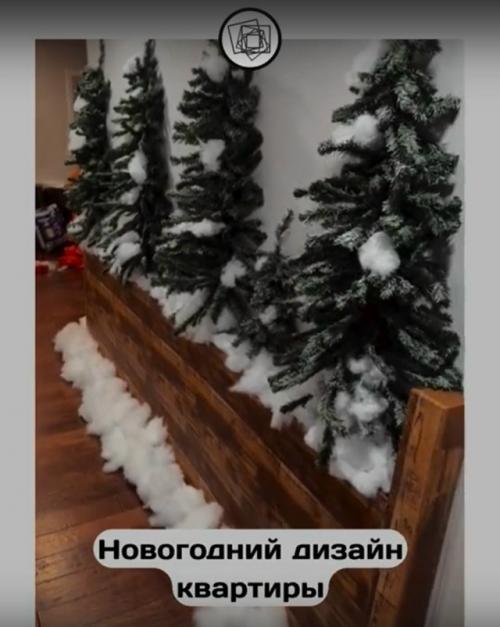 Ну что, уже задекорировали своё жильё к новому году? 04