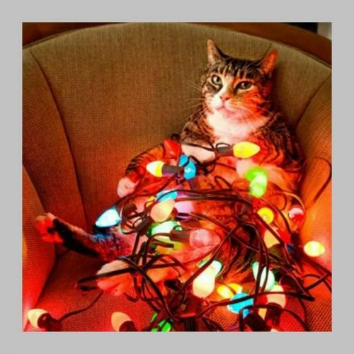 Мерцающие гирлянды могут вредить зрению и нервной системе. 01