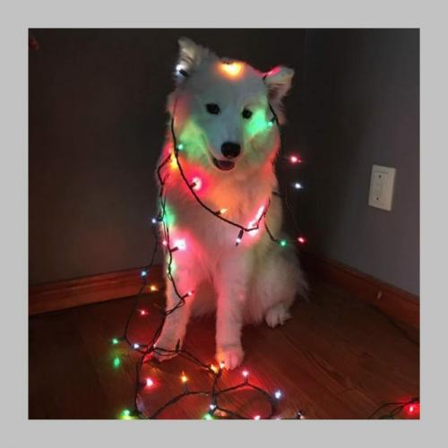 Мерцающие гирлянды могут вредить зрению и нервной системе. 02