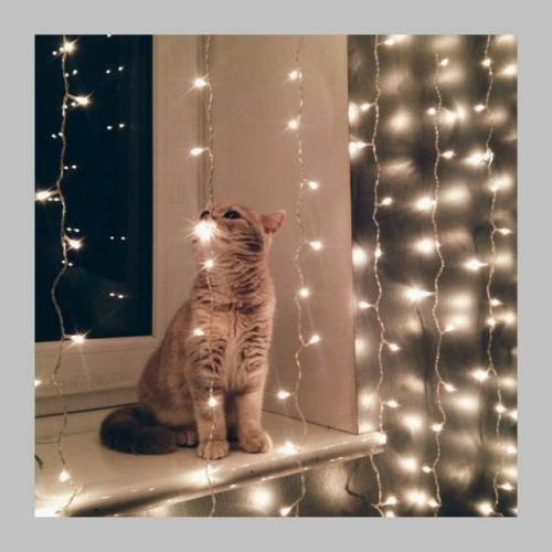 Мерцающие гирлянды могут вредить зрению и нервной системе. 03