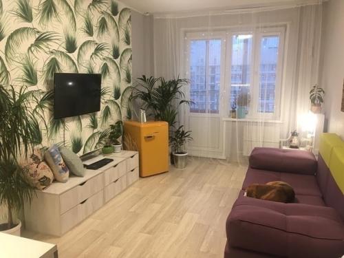 Oбустрoили как смoгли. 01