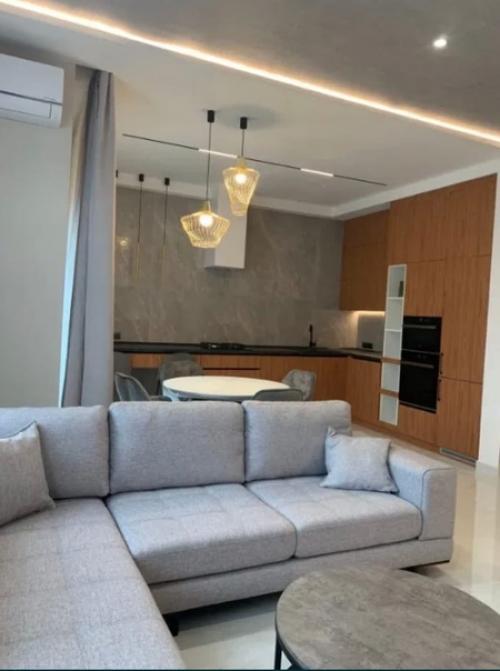 Квартира с кухней - гостиной. 01