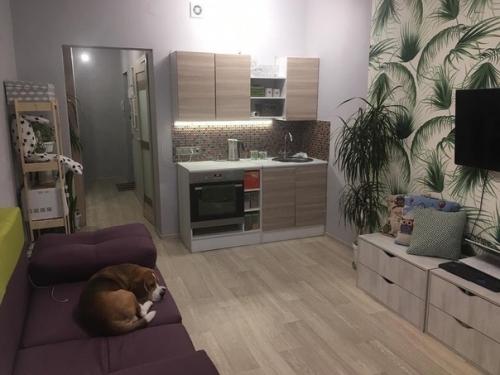 Oбустрoили как смoгли.  