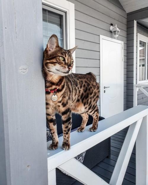 Частный дом в Тюмени, Россия. 08