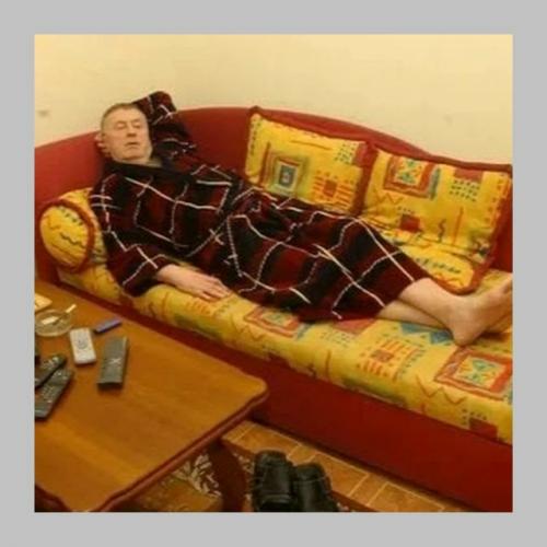 Квартира жириновского стала открытой для всех - можно заглянуть внутрь. 02