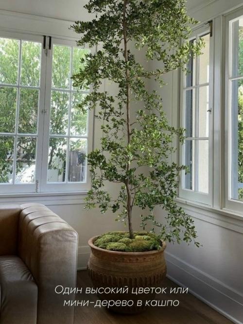 Как некоторые представляют свой дом мечты. 05