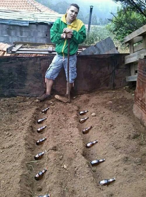 Госдума хочет запретить россиянам использовать дачные участки для зароботка. 02