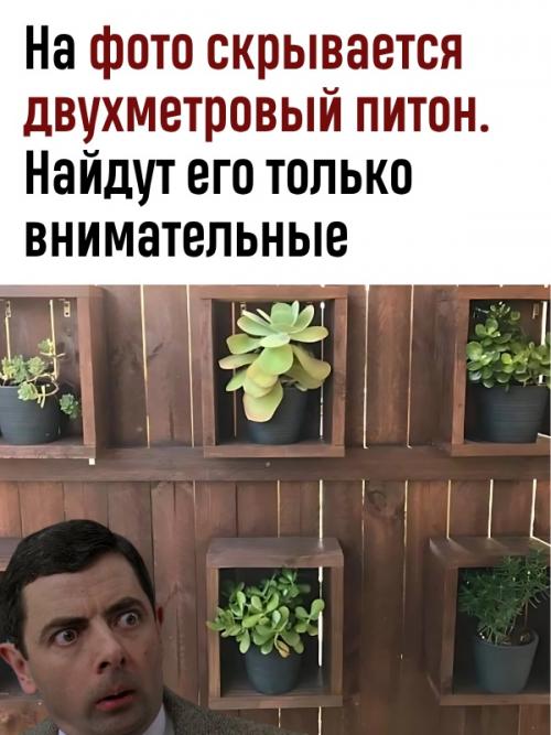 Социальные сети этим переполнены.  