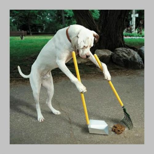 Можете использовать Т 9 или свою фантазию. 01