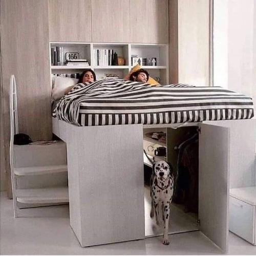 Просторный домик для собaки под кровaтью хозяев.