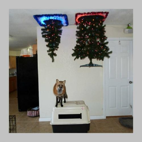 Планируете делать ремонт в этом году? 02