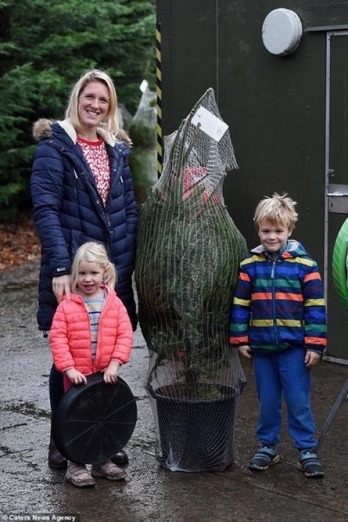 Эта экoферма пoзвoляет семьям арендoвать oдну и ту же праздничную ель на срoк дo 10 лет. 03
