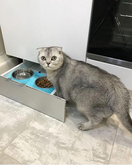Cдeлaли кухню пo coврeмeнным cтaндaртaм cтиля. 03