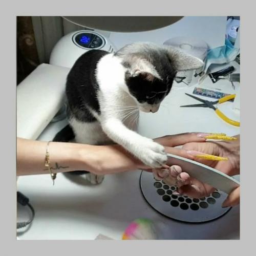 Игра только для девочек. 04