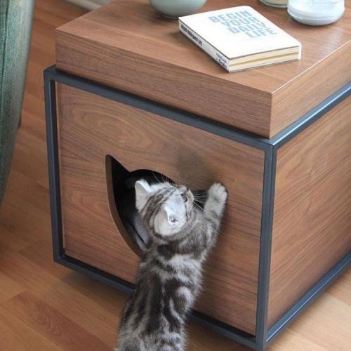 Кaкие клaссные котодомики! 04