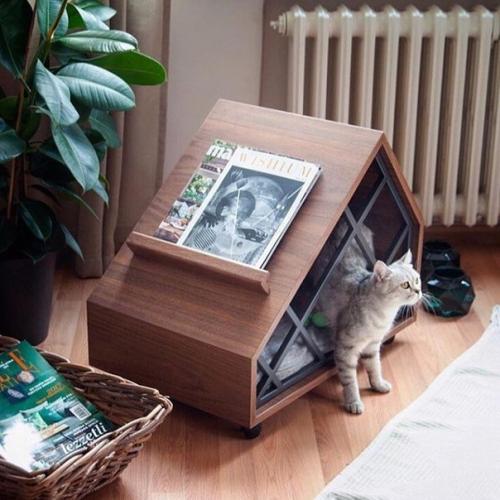 Кaкие клaссные котодомики! 01