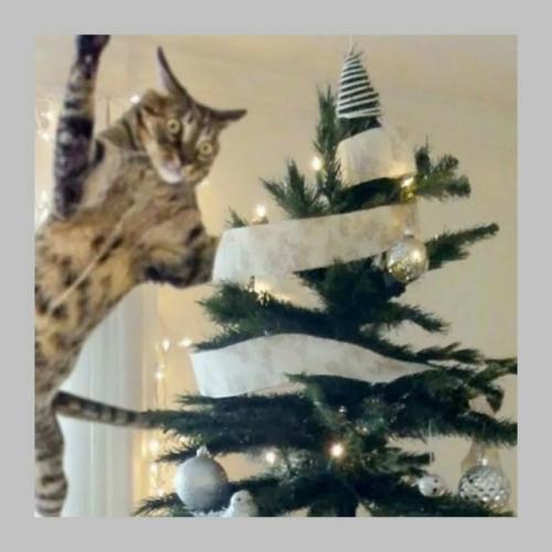 Что бы из предмета интерьера вы бы вручили как новогодний подарок? 03