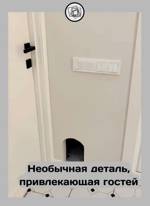 Как дверки для котов могут стать частью модного интерьера в современном доме.

