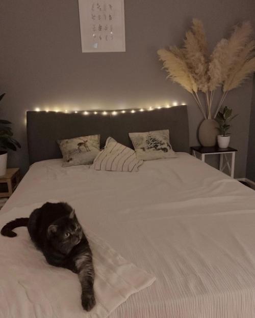 Атмосферная квартира в новостройке. 02