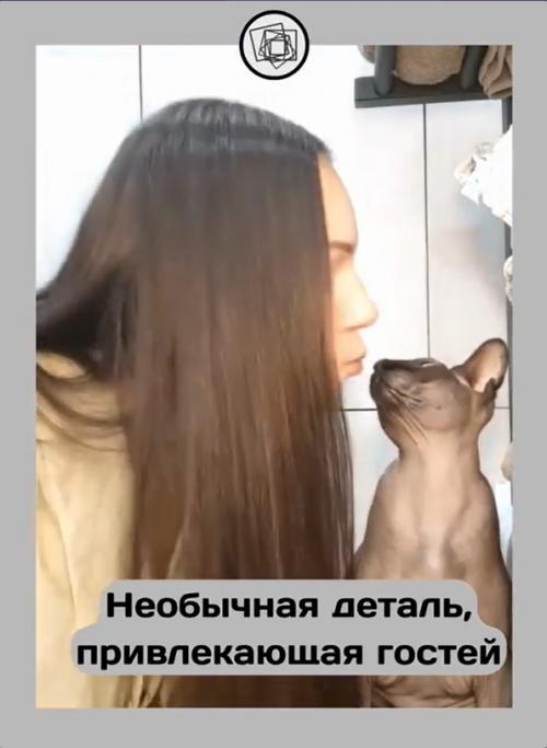 Как дверки для котов могут стать частью модного интерьера в современном доме. 03