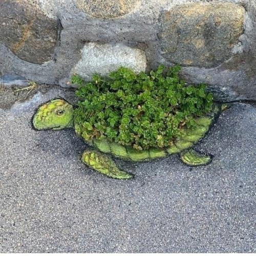 Мужчина творит шедевры из того, что у него под ногами! 01