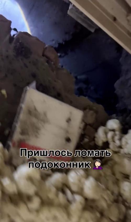 Ребята жалобное мяуканье в квартире услышали. 03