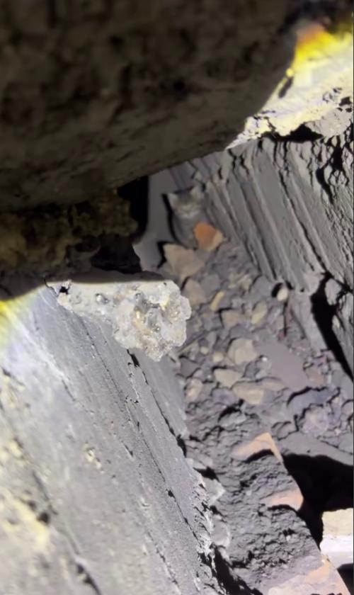 Ребята жалобное мяуканье в квартире услышали. 04