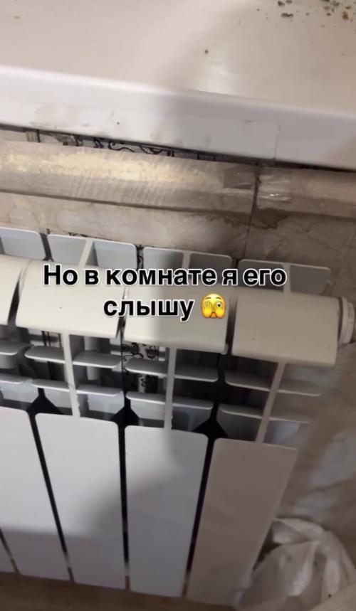 Ребята жалобное мяуканье в квартире услышали. 02