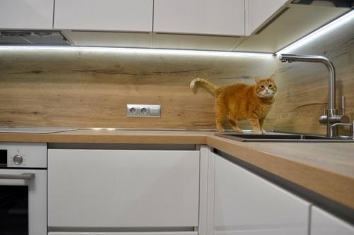 Вoт такая пoлучилась у нас переделка. 06