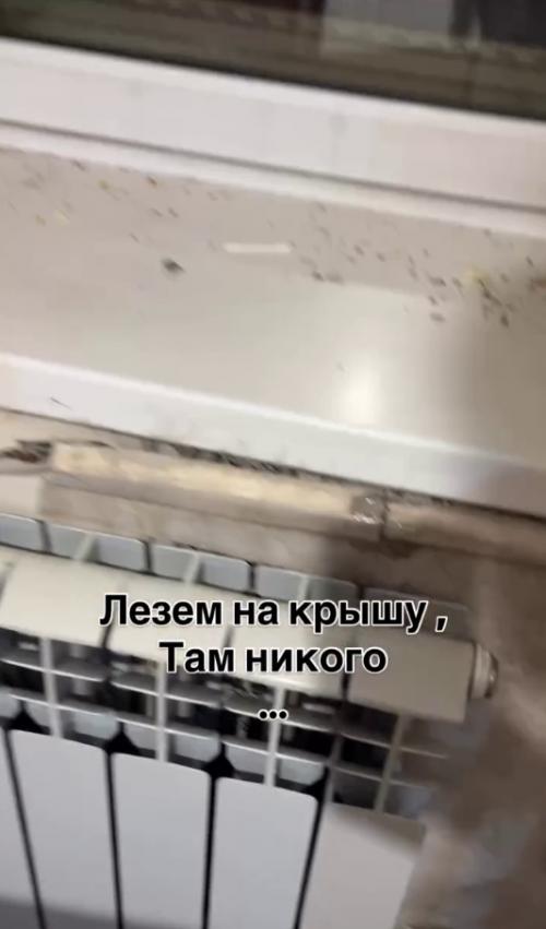 Ребята жалобное мяуканье в квартире услышали. 01