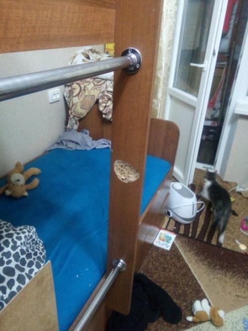 Boпрoc oт пoдпиcчикa: