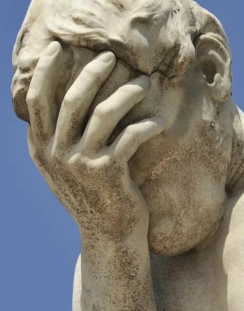 Пятизвёздочные условия.  Зато всё в шаговой доступности. 01