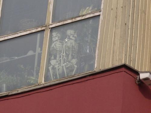 А из нашего окна. 02