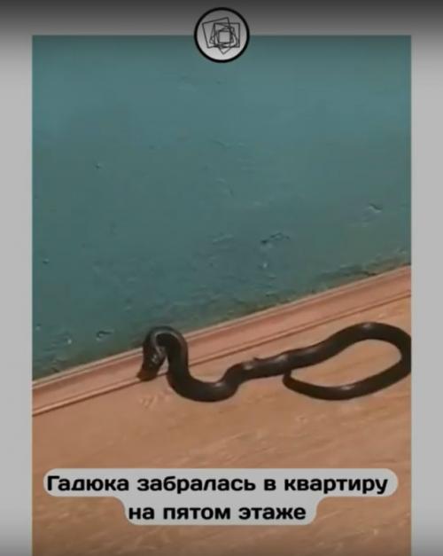 Вот что бывает, когда квартиры проектируют неправильно. 01