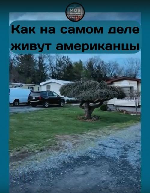 Наконец - то кто-то показал, как живут американцы в небольших городках.

