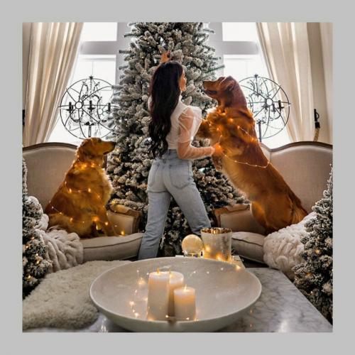 Какое украшение вы хотели бы оставить в интерьере после праздников? 02