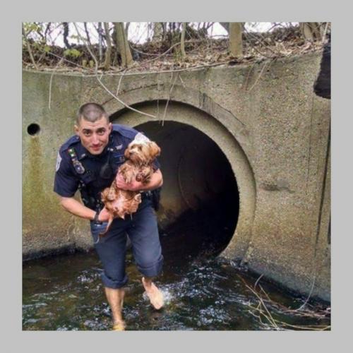 Представьте, что вас затопило. 02