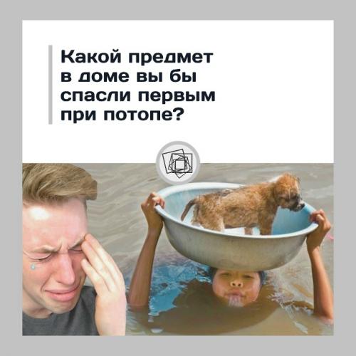 Представьте, что вас затопило.  