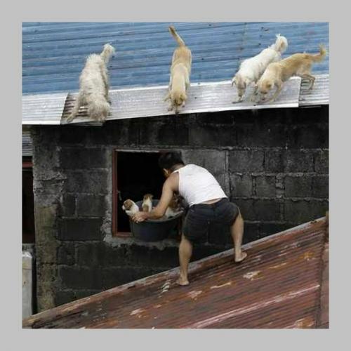 Представьте, что вас затопило. 03