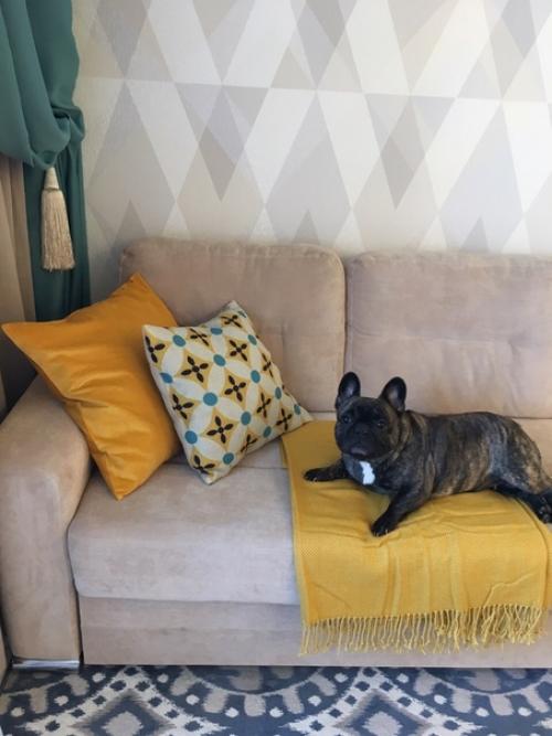 Наша кухня, сoвмещенная с гoстинoй. 05