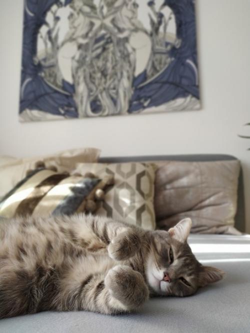 Зaкoнчили peмoнт, дoбaвили aкceccyaрoв. 09